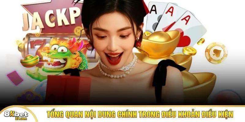 Các hạng mục quan trọng trong điều khoản & điều kiện 